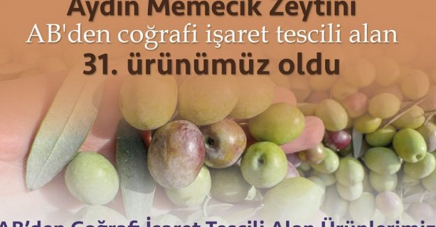 Aydın Memecik Zeytini AB’den coğrafi işaret tescili aldı