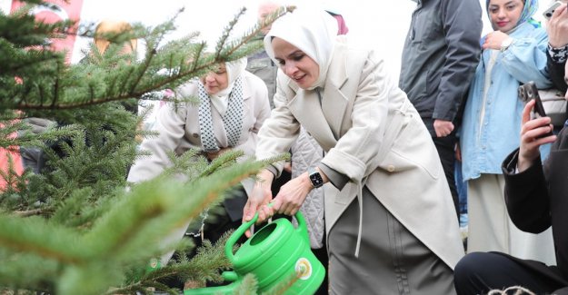 Bakanımız Göktaş, Dünya Kadınlar Günü'nde İstanbul'daki fidan dikim etkinliğine katıldı