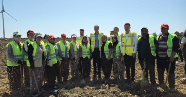 Çanakkale’de 100 Bin Fidanlık “Enerji” Ormanı