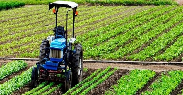 Palandöken, “Planlı Tarım İle Fiyat Artışları Önlenebilir