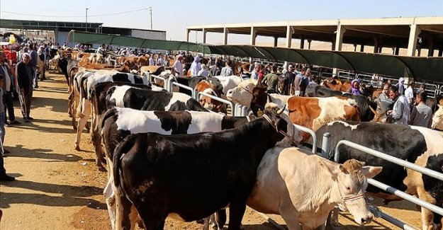 Palandöken, “Vatandaşın Kurban Kesimi Kolaylaştırılmalı”