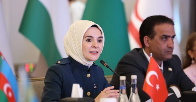 Bakanımız Göktaş, "Güçlü Aileler, Güçlü Toplumlar: TDT Ülkelerinde Aileyi Destekleyici Politikalar" yan etkinliğinde konuştu