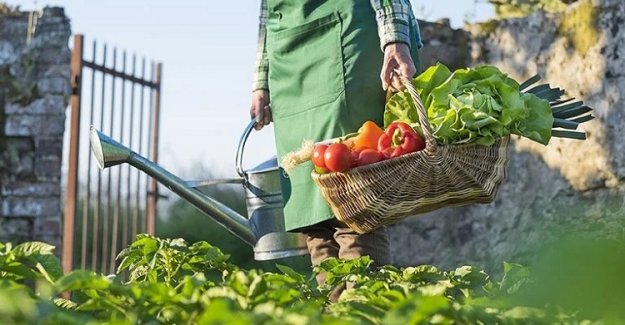 Palandöken, “Tarım Cazip Hale Getirilmeden Fiyatlar Düşmez”