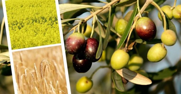 Çiftçilere Yaklaşık 827 Milyon Liralık Tarımsal Destekleme Ödemesi Yapıldı