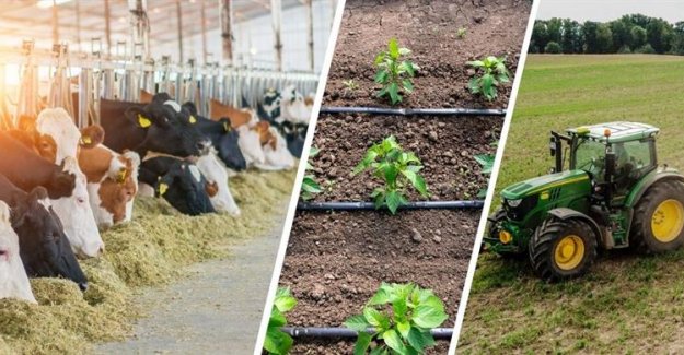 Çiftçilere Bugün Yaklaşık 477 Milyon Liralık Tarımsal Destekleme Ödemesi Yapılacak