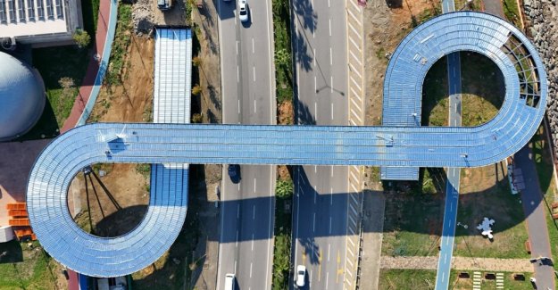 Türkiye’nin 11. Karayolu Ekolojik Köprüsü Geliyor