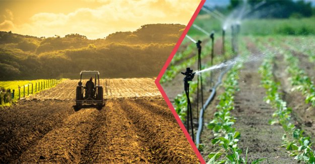 Yaklaşık 321 Milyon Liralık Destekleme Ödemesi Bugün Hesaplara Aktarılıyor