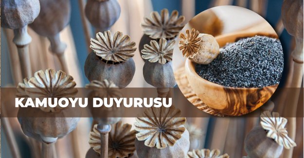 2026 Alım Dönemi Haşhaş Tohumu Alımı Kamuoyu Duyurusu