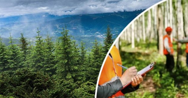 Orman Genel Müdürlüğü 496 Sözleşmeli Personel Alacak