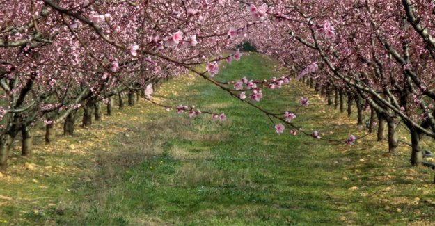 Tarım Sigortası Bulunmayan Çiftçi Kayıt Sistemi’ne Kayıtlı Üreticilere 707 Milyon 112 Bin Lira Aktarıldı