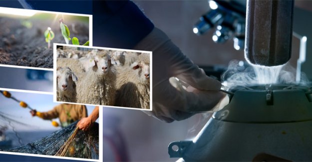 1.1 Milyar Liralık Destekleme Ödemesi Hesaplara Aktarılıyor