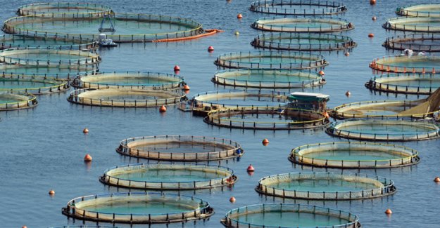 Bakan Yumaklı: “Türkiye, Su Ürünleri Avcılığı Ve Yetiştiriciliğinde Bölgesinde Lider Konumda”