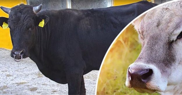 Halk Elinde Islah Projeleri"ne Toplam 2,7 Milyar Lira Destek Sağlandı