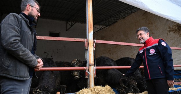Kırsalda Bereket, Hayvancılığa Destek Projesi Meyvelerini Vermeye Başladı