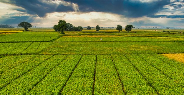 Çiftçilere Bugün 1,6 Milyar Liralık Destekleme Ödemesi Yapılacak