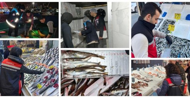 İstanbul’da Su Ürünlerine Eş Zamanlı Denetim: 3,5 Ton Ürüne El Konuldu