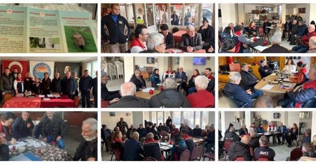 Kahverengi Kokarca İle Mücadelemiz Kararlılıkla Sürüyor