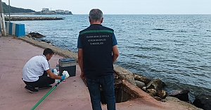 Yalova’da Denizi Kirleten 2 Belediyeye 4 Milyon 11 Bin Tl Ceza
