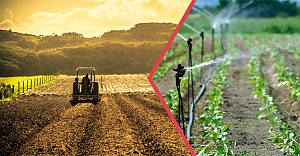 Yaklaşık 321 Milyon Liralık Destekleme Ödemesi Bugün Hesaplara Aktarılıyor