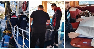 İstanbul Boğazı’nda Gırgır Balıkçılarına Yönelik Denetimlerimiz Devam Ediyor