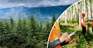 Orman Genel Müdürlüğü 496 Sözleşmeli Personel Alacak