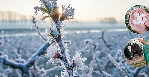 Tarım Sigortaları Kapsamında Ekimde Üreticilere 11,6 Milyar Lira Hasar Tazminatı Ödendi
