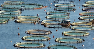 Bakan Yumaklı: “Türkiye, Su Ürünleri Avcılığı Ve Yetiştiriciliğinde Bölgesinde Lider Konumda”