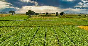 Çiftçilere 1 Milyar 46 Milyon Liralık Tarımsal Destekleme Ödemesi Yapılacak