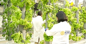 Gıda Güvenliğine ‘TENMAK’ Dokunuşu