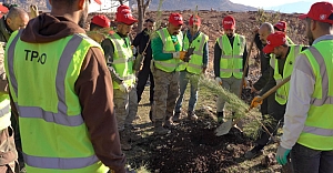 Petrolün Başkenti Yeşilleniyor