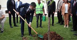 Bakan Yumaklı: “2025 Yılında 517 Milyon Adet Tohum Ve Fidanı Ülkemizin Bereketli Topraklarıyla Buluşturduk”