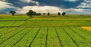 Çiftçilere Bugün 1,6 Milyar Liralık Destekleme Ödemesi Yapılacak