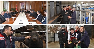 Buzağı Kayıplarının Azaltılması Ve Üreme Verimliliğine Yönelik Sektör Toplantısı Ve İşletme Ziyareti Gerçekleştirildi