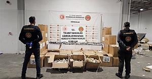 Gümrükler Muhafaza Ekipleri, Üç Ayrı Operasyonda Çok Sayıda Uyuşturucu ve İlaç Ele Geçirdi