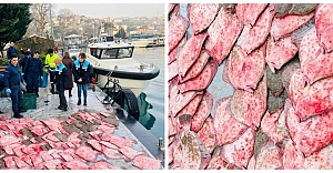 İstanbul Boğazı’nda Yasa Dışı Kalkan Avcılığına Yönelik Denetim