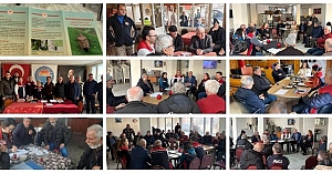 Kahverengi Kokarca İle Mücadelemiz Kararlılıkla Sürüyor