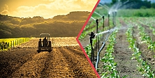 Yaklaşık 321 Milyon Liralık Destekleme Ödemesi Bugün Hesaplara Aktarılıyor