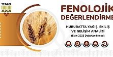 Fenolojik Değerlendirme Raporu Yayımlandı