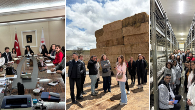 Geçtiğimiz yıl örtü altı ve bağ ürünlerinde yürütülen entegre mücadele