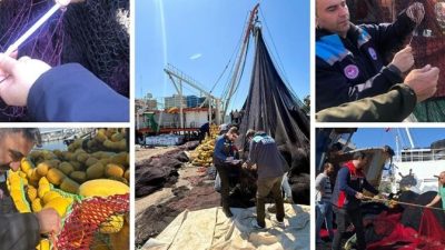 ​İstanbul İl Tarım ve Orman Müdürlüğü Balıkçılık ve Su Ürünleri