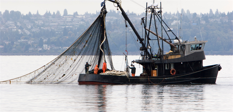 Tarım ve Orman Bakanı İbrahim Yumaklı, yaklaşık 245 bin ton avlanma