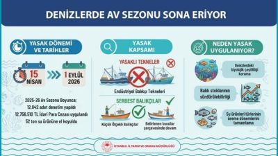 6/1 numaralı Ticari Amaçlı Su Ürünleri Avcılığının Düzenlenmesi Hakkında Tebliğ