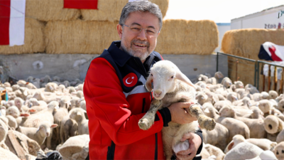 Tarım ve Orman Bakanı İbrahim Yumaklı, Kırsalda Bereket Küçükbaşa Destek