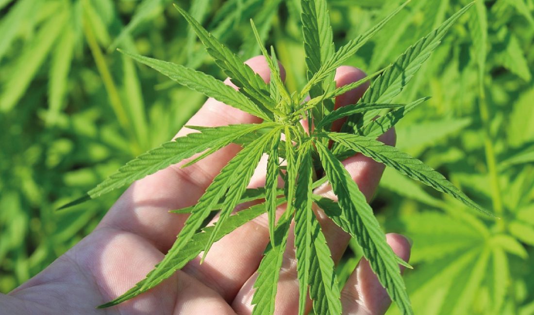 UYUŞTURUCU ETKİSİ OLMAYACAK ORANDA KİŞİSEL BAKIM ÜRÜNLERİ VE DESTEK ÜRÜNLERİ