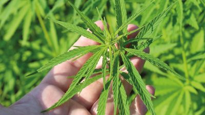 UYUŞTURUCU ETKİSİ OLMAYACAK ORANDA KİŞİSEL BAKIM ÜRÜNLERİ VE DESTEK ÜRÜNLERİ