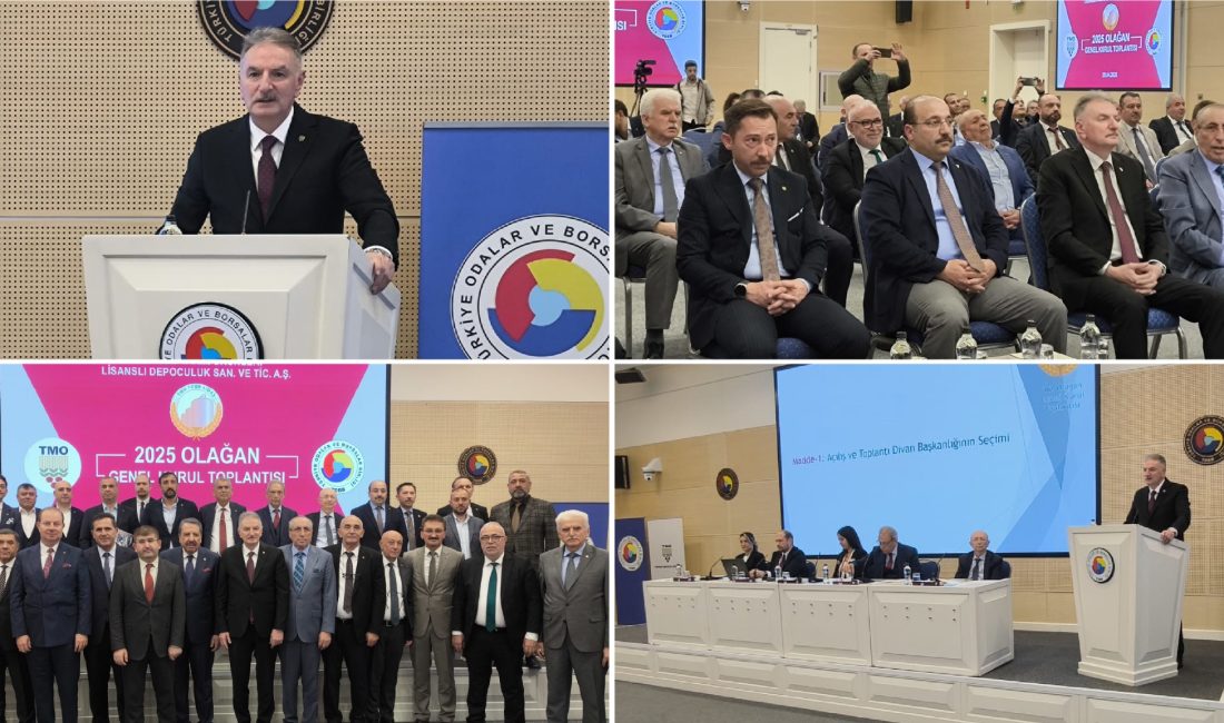 5300 sayılı Tarım Ürünleri Lisanslı Depoculuk Kanunu kapsamında 2010 yılında