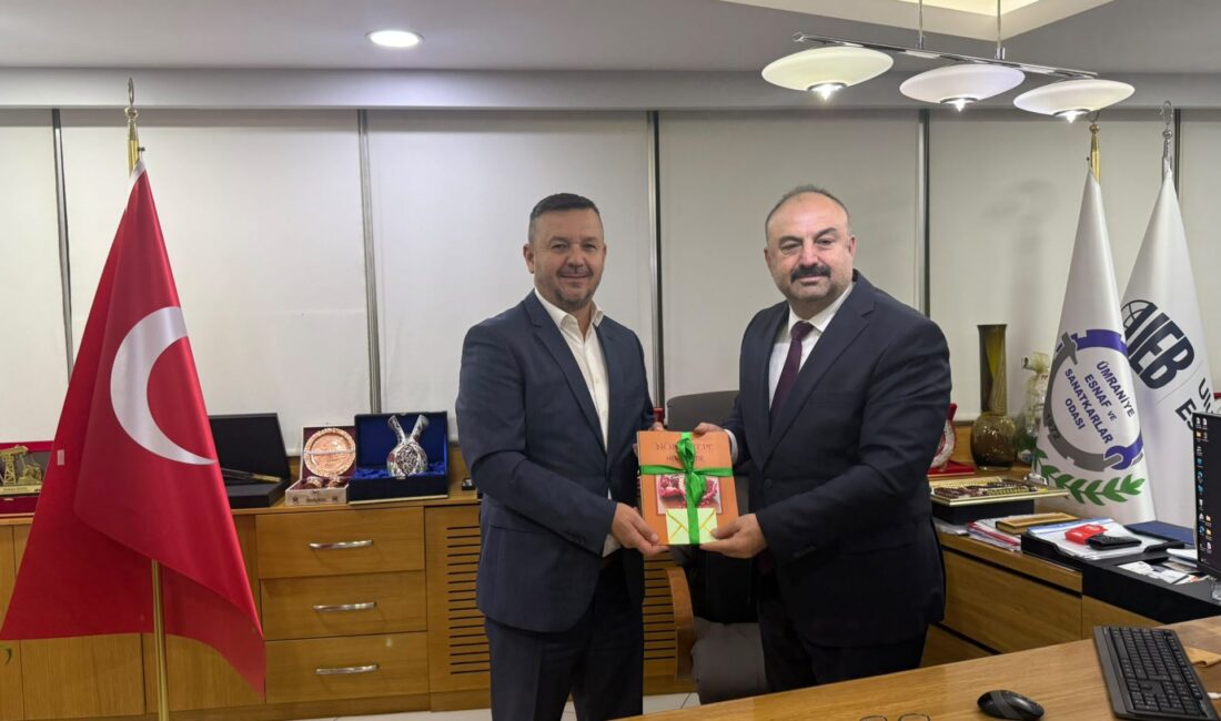 Uluslararası Esnaf Birliği (UEB) Kurucu Genel Başkanı Sayın Mehmet Özdil,